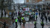 Fridays for Future march